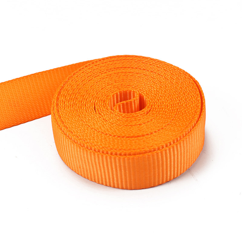 Curelele cu clichet cu cârlig dublu J de 25 mm (model BT-TDS-023)