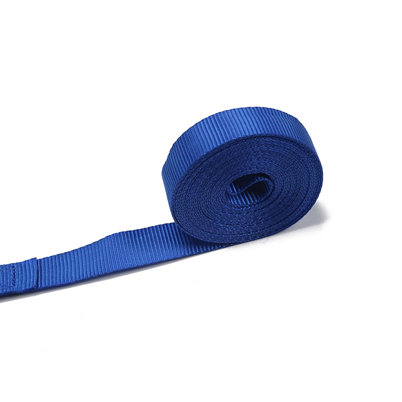 Cârligul european de legare cu clichet de 25 mm tip S (model BT-TDS-021)